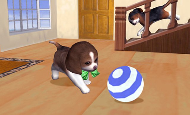 Petz: My Puppy Family