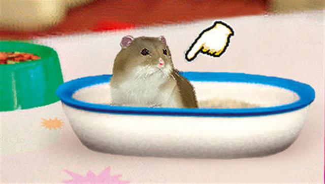 Petz: My Baby Hamster