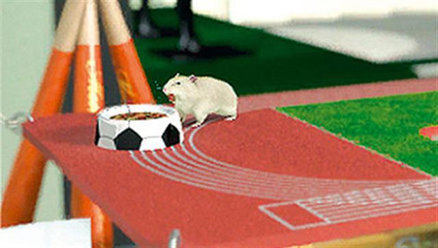 Petz: My Baby Hamster