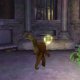 La Soluzione completa di Ben 10 Ultimate Alien: Cosmic Destruction