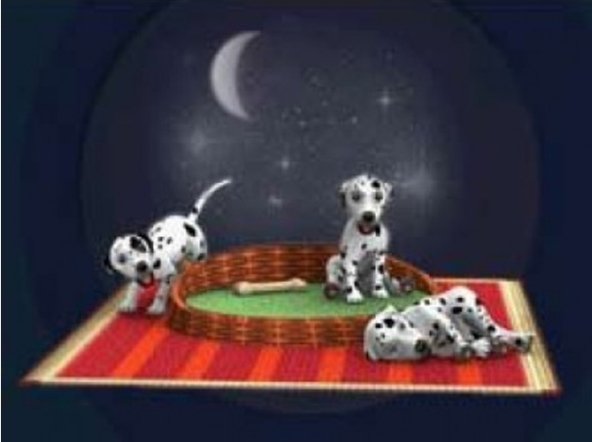 La mia clinica per cani (la vita di Emma) 