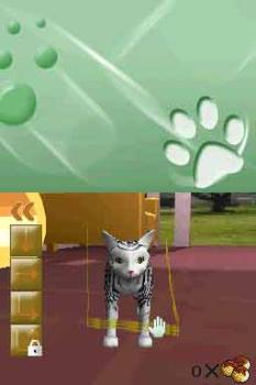 Il Mio Cucciolo: Mici Amici