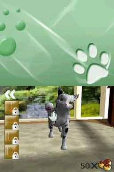 Il Mio Cucciolo: Mici Amici