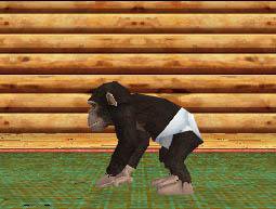 Il mio Cucciolo: Simpatici Scimpanzé