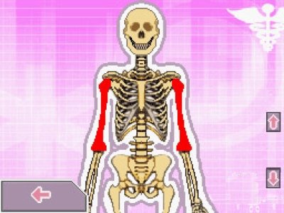 La Vita di Emma: Professione Infermiera