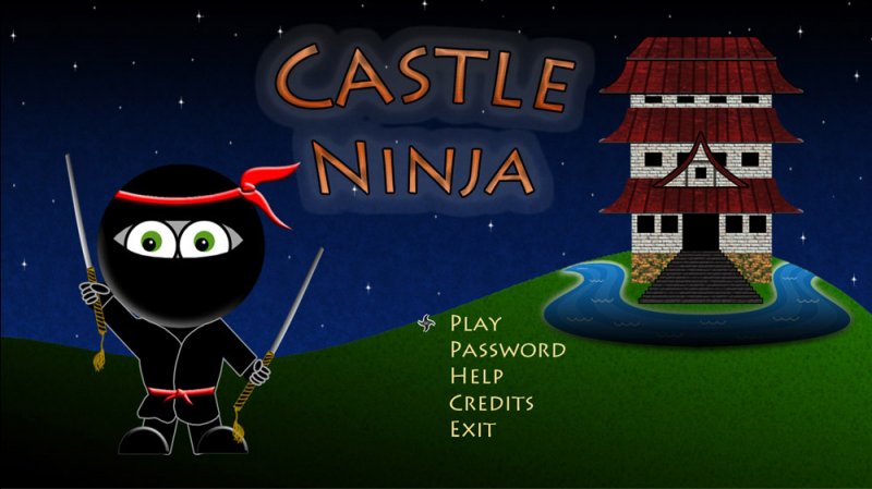 Castle Ninja