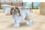 Nuove immagini per Nintendogs + Cats - Notizia