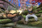 Scambio di ghost in Dead or Alive: Dimensions per 3DS - Notizia