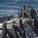 Howard: Oblivion ha sacrificato ciò che rendeva speciale Morrowind