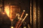 Dieci minuti di gameplay in video per The Witcher 2 - Notizia