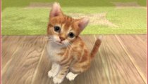 Nintendogs + Cats - Gameplay