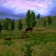 Mount & Blade: With Fire & Sword - Trailer GDC 2011