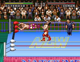 Natsume Championship Wrestling