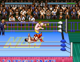 Natsume Championship Wrestling