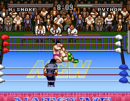 Natsume Championship Wrestling