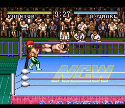 Natsume Championship Wrestling