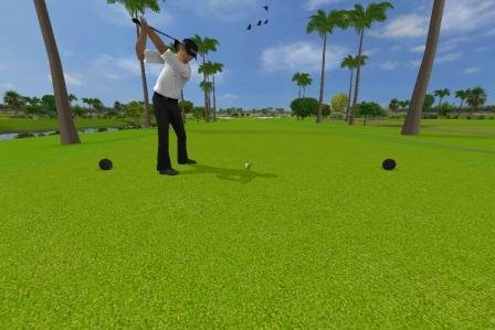 Tiger Woods PGA Tour 12