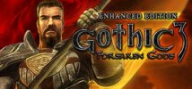 Gothic 3: Forsaken Gods Enhanced Edition per PC Windows