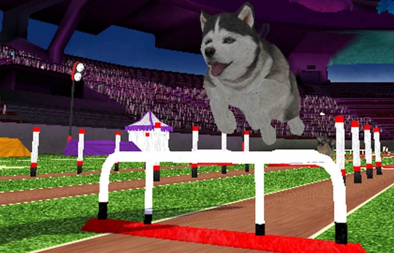 Petz Sports: Dog Playground