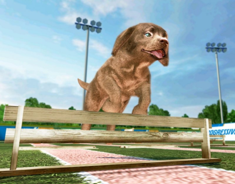 Petz Sports: Dog Playground