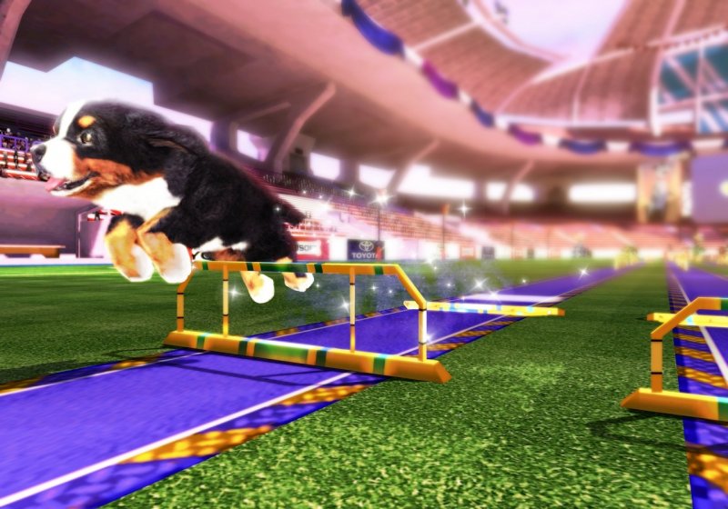 Petz Sports: Dog Playground