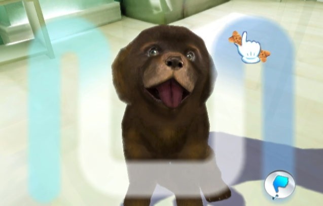 Petz Sports: Dog Playground