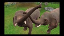 Zoo Resort 3D  - Trailer 