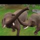 Zoo Resort 3D  - Trailer 
