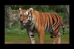 Ubisoft annuncia Zoo Mania per Nintendo 3DS - Notizia
