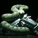 Il ritorno dell’assassino pelato
