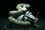 Il ritorno dell’assassino pelato - Recensione