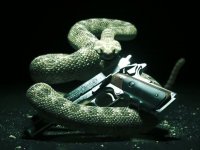 Il ritorno dell’assassino pelato