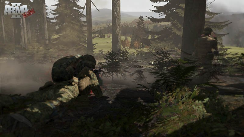 Immagine di Arma II: Free per PC Windows