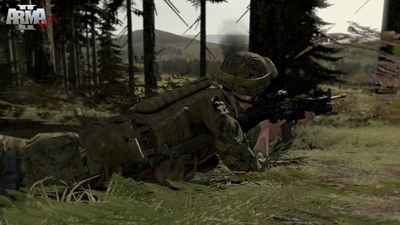 Immagine di Arma II: Free per PC Windows