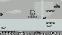 Yogi Bear in Yogi Bear's Goldrush - Gameplay