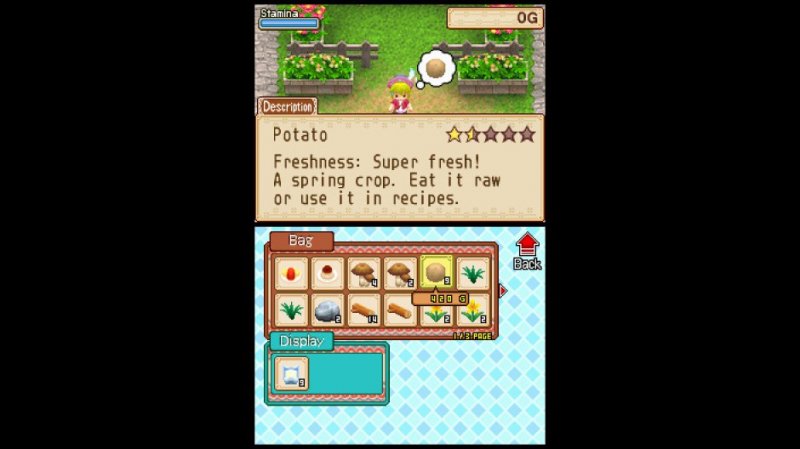 Immagine di Harvest Moon: Grand Bazaar per Nintendo DS
