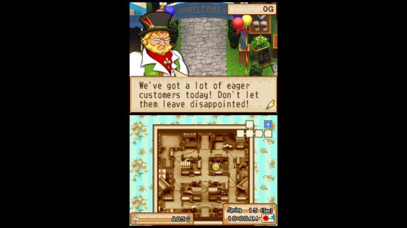 Immagine di Harvest Moon: Grand Bazaar per Nintendo DS