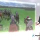 Champion Jockey - Gameplay PS Move