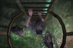 Jurassic Park: The Game - Gli sviluppatori gonfiano la media dei voti - Notizia