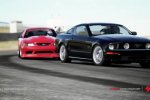 Forza Motorsport 4 - Il video 'Specie in pericolo' - Notizia