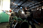 Un sequel per Payday: The Heist - Notizia