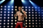 Il gameplay di UFC Undisputed 3 in un nuovo video - Notizia
