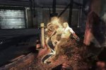inFamous 2: Festival of Blood - il trailer di lancio - Notizia