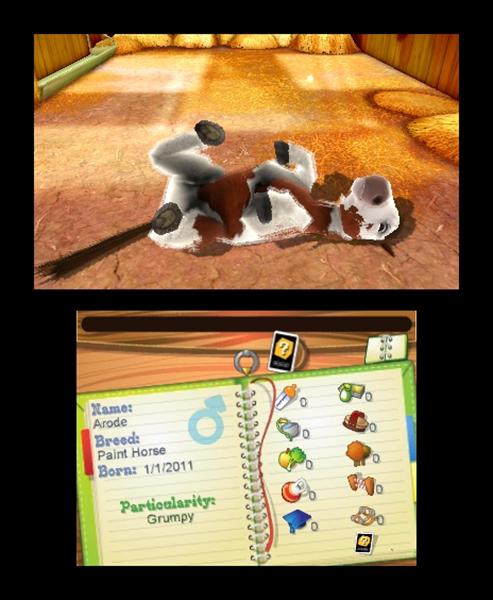 I Miei Puledri 3D