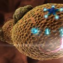 Nano Assault EX - Trailer di presentazione