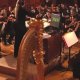 The Legend of Zelda 25th Anniversary Special Orchestra CD - Video sulla registrazione
