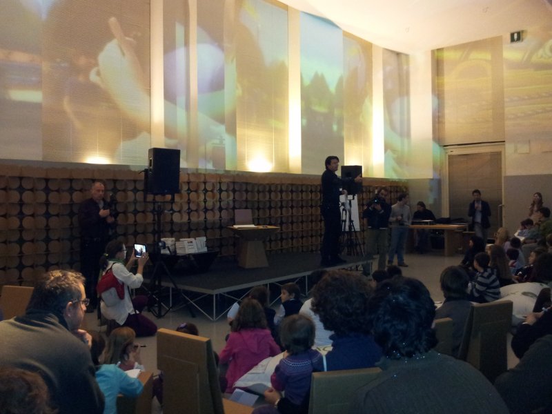 Disneyland Adventures