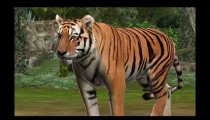 Zoo Resort 3D  - Trailer #2