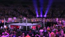 WWE '12 - Trailer del Divas Pack, l'entrata delle Bella Twins