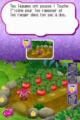 Zoobles! Spring to Life - DS - Multiplayer.it